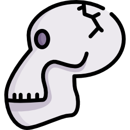 Skull icon