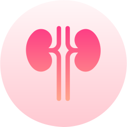 Kidney icon