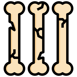 ossos Ícone