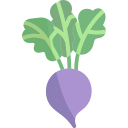 Beet icon