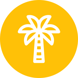 Coconut tree icon