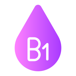 b1 Icône