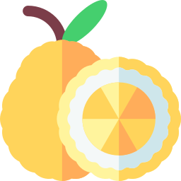 Citron icon