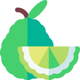 Bergamot icon