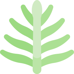 シュロの葉 icon