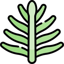 야자잎 icon