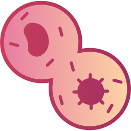 Mitosis icon