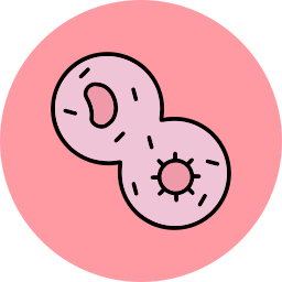 Mitosis icon