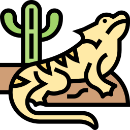 iguana icona