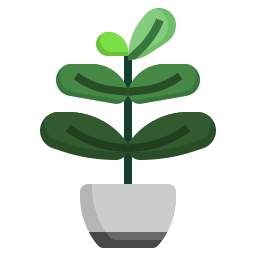 무화과나무 icon