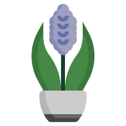 Hyacinth icon