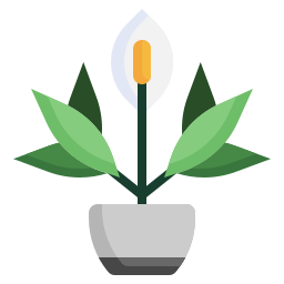 Peace lily icon