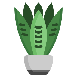 Змеиное растение иконка