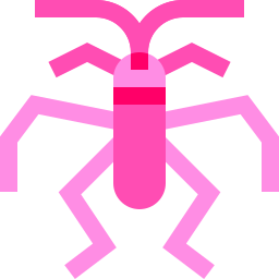gerridae ikona