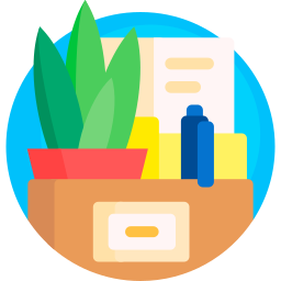 Box icon