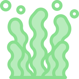 Seaweed icon