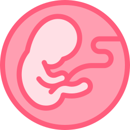 embryo icoon