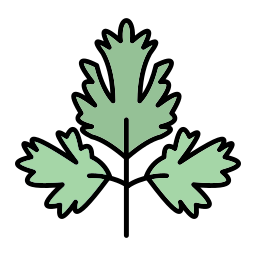 파슬리 icon