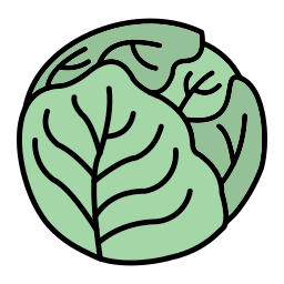 Brussel sprouts icon