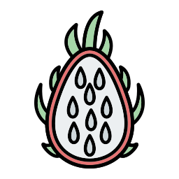 Dragon fruit icon