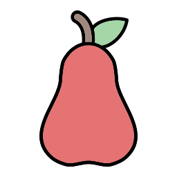로즈 애플 icon