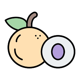 Longan icon