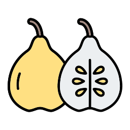 Quince icon