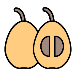 Loquat icon