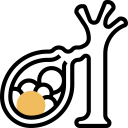 cistifellea icona
