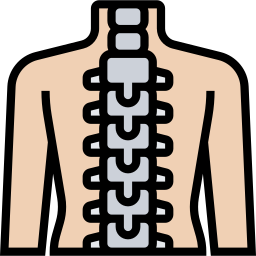 脊髄 icon