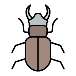 甲虫 icon