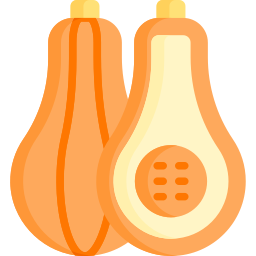 calabaza icono