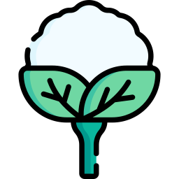 Cauliflower icon