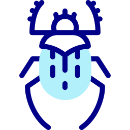 Beetle icon