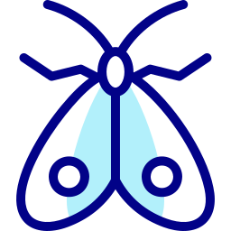 Moth icon