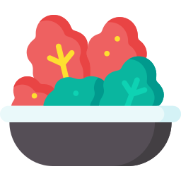 Kimchi icon