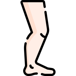 Leg icon