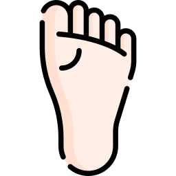 Foot icon