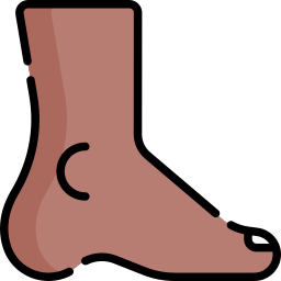 Foot icon