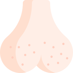 testicules Icône