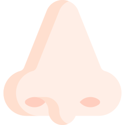 Nose icon