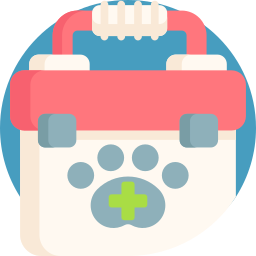 First aid kit icon