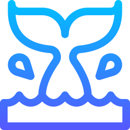 Whale icon