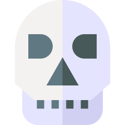 Skull icon