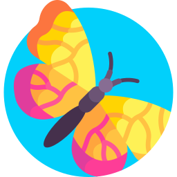 schmetterling icon