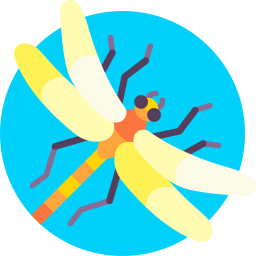 Dragonfly icon