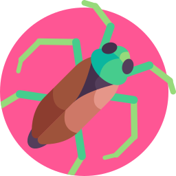 Water beetle icon
