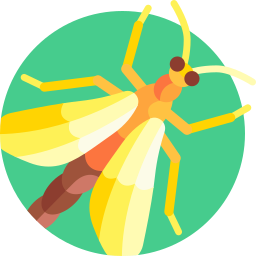 eendagsvlieg icoon
