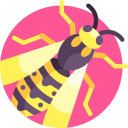 Digger wasp icon