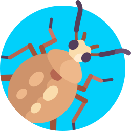 Bean weevil icon